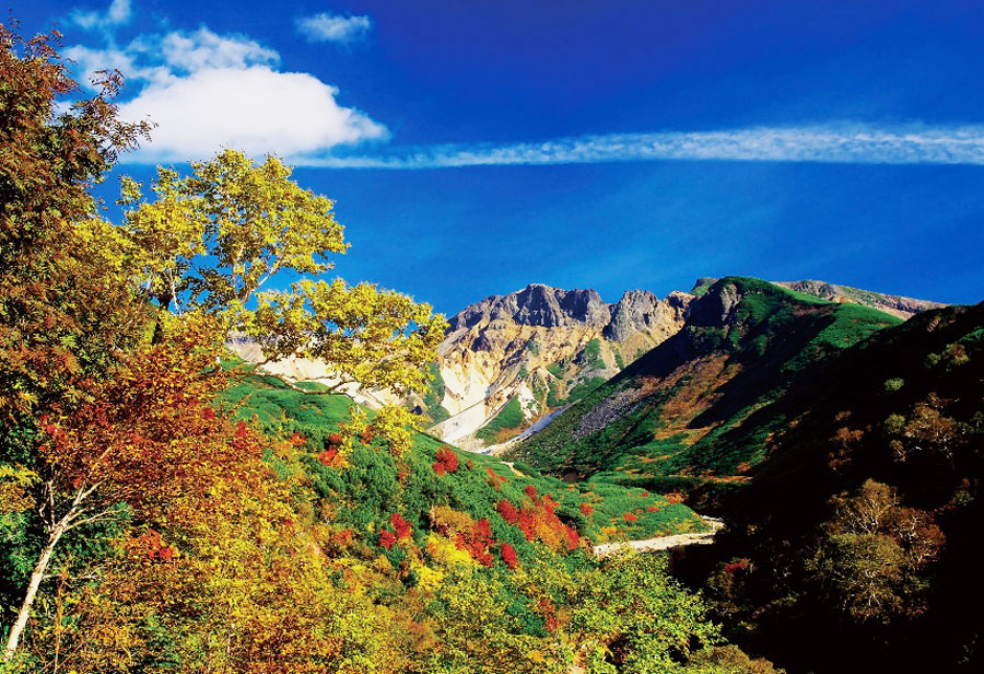 十勝岳の紅葉は、例年9月下旬から10月上旬が見ごろ 十勝岳紅葉まつり