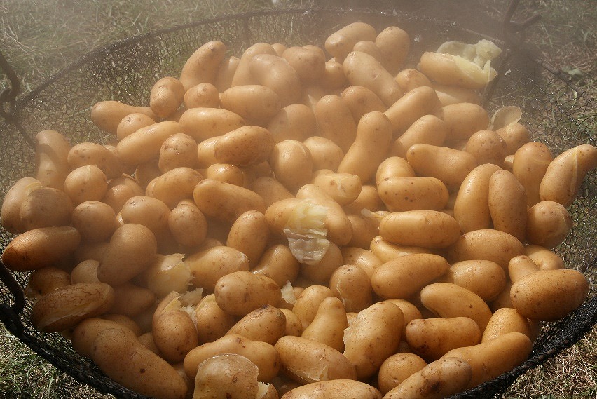 大釜で豪快に作る「メークインいも煮」の無料振る舞いも! 帯広大正メークインまつり