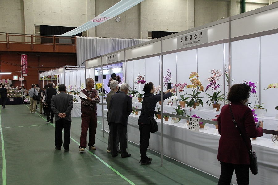 らんフェスタ赤平