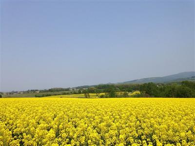 「北海道感動の瞬間(とき)100選」にも選ばれている滝川市の