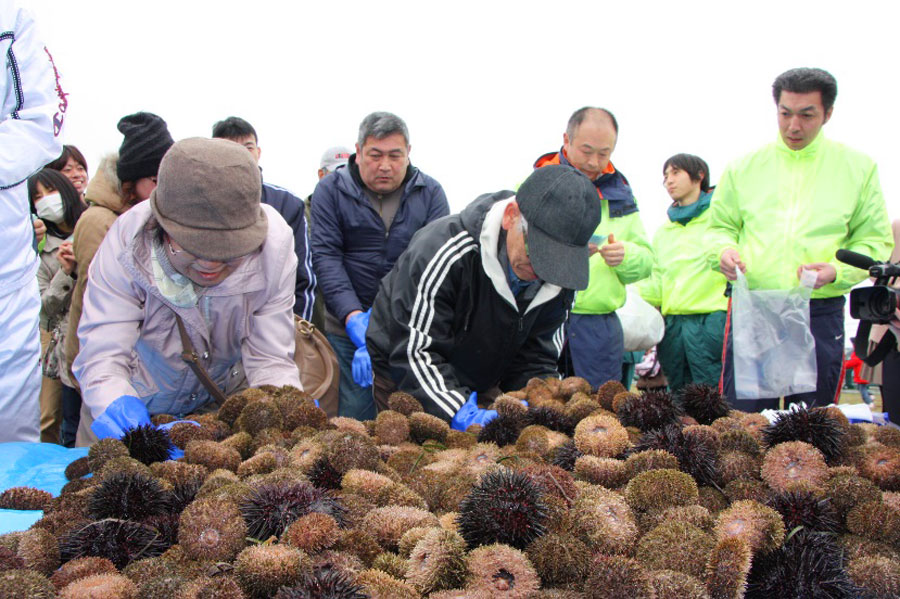 えりも うに祭り