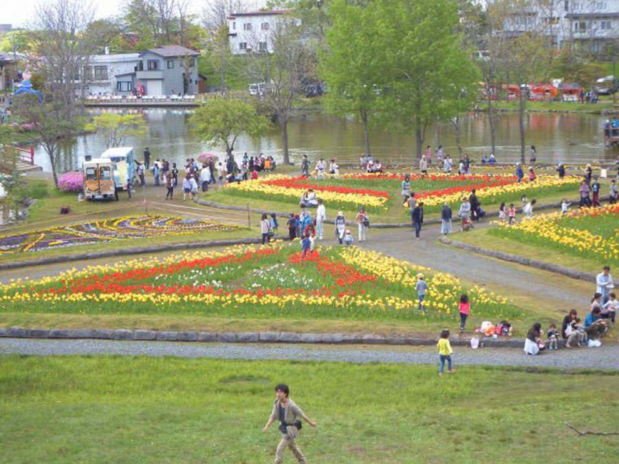 市民ボランティアの手によって植栽された鶴ケ岱公園の花壇 くしろチューリップ&花フェア