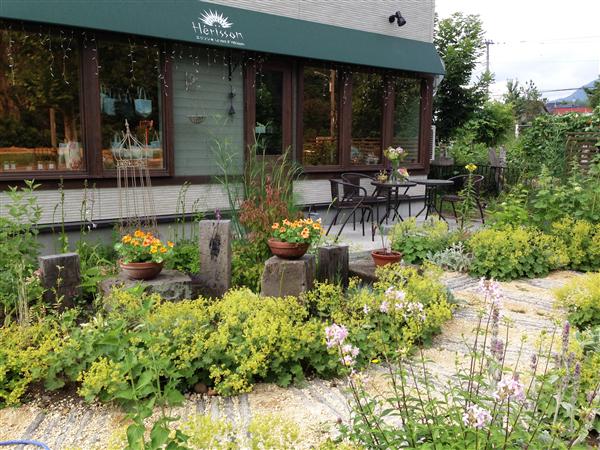 ハーブの成長によって、風景が少しずつ変化しているガーデン ガーデン