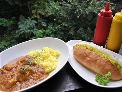 Cafe and Bar ROGA