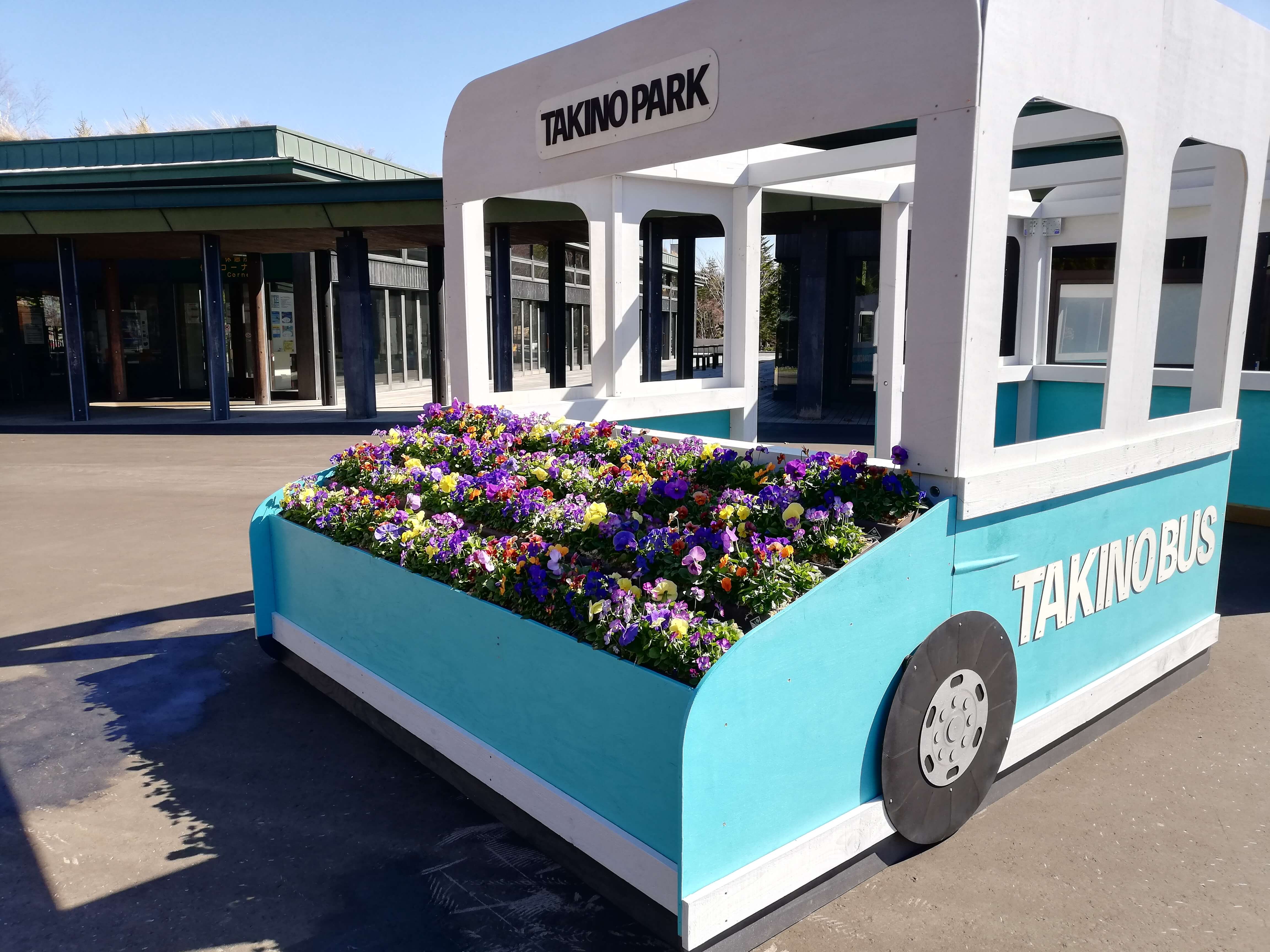 パンジー・ビオラフェスタ