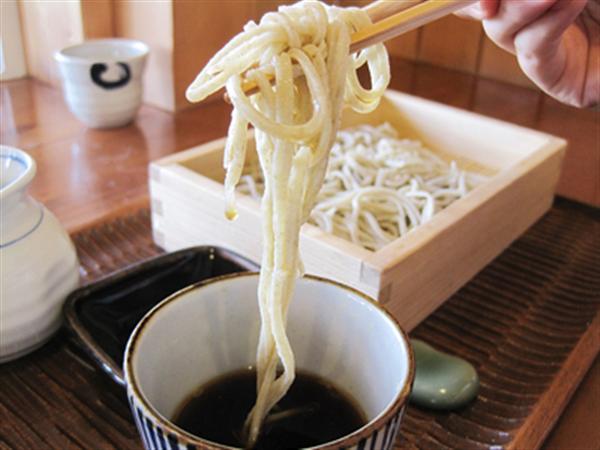 麺が透き通るようにきれいな、いし豆のそば いし豆のもりそば