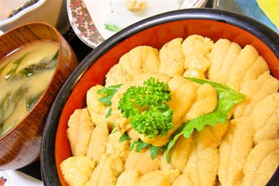 鱗晃荘のうに丼
