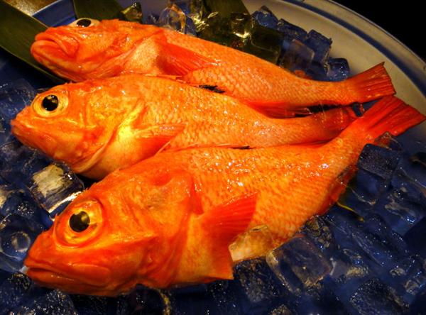 産地、鮮度にこだわったキンキ 北国の味三條亭