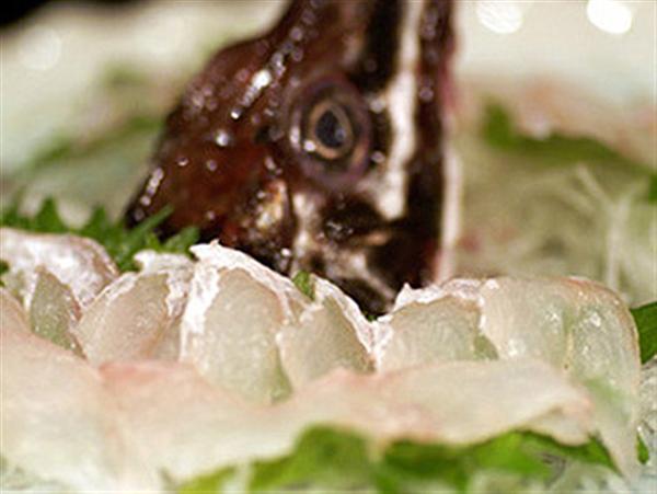 魚屋直営ならではの新鮮な魚介類が楽しめる 魚御殿さわだ