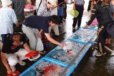 活気あふれる市場の雰囲気にふれるだけでも楽しい
