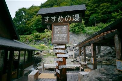 2019年4月に営業を再開した「すずめの湯」。傷や病気など、