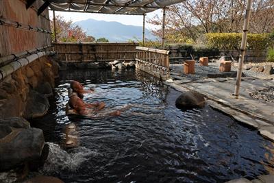 湯上がりは肌が滑らかに。大浴場や食事処日帰りでも利用できる