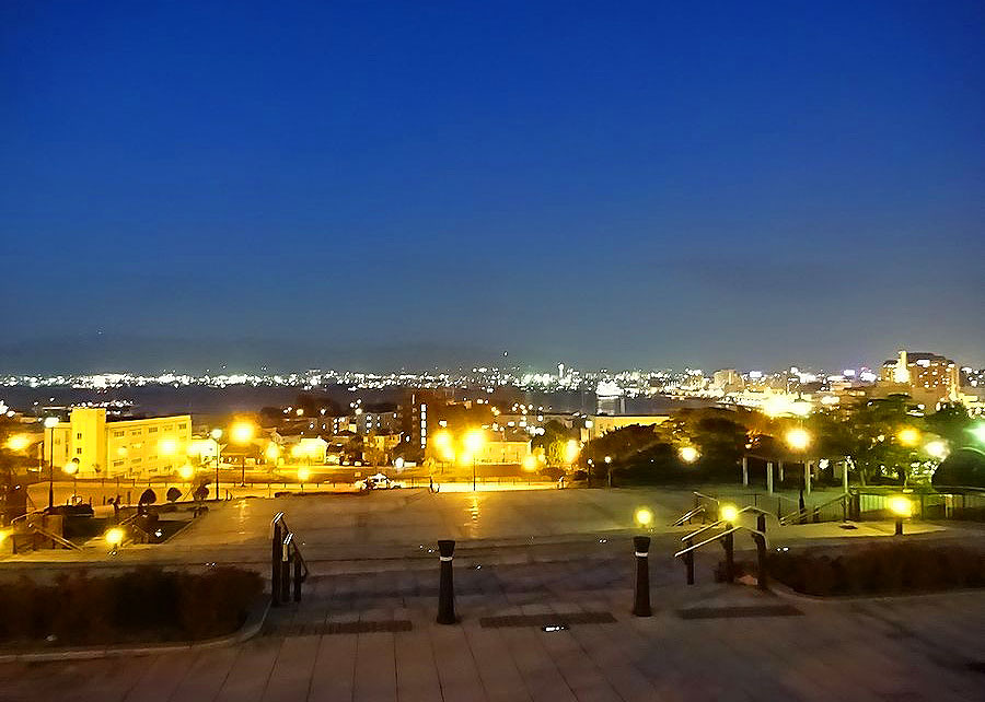 ロマンチックな元町公園からの夜景 ロマンチックな元町公園からの夜景