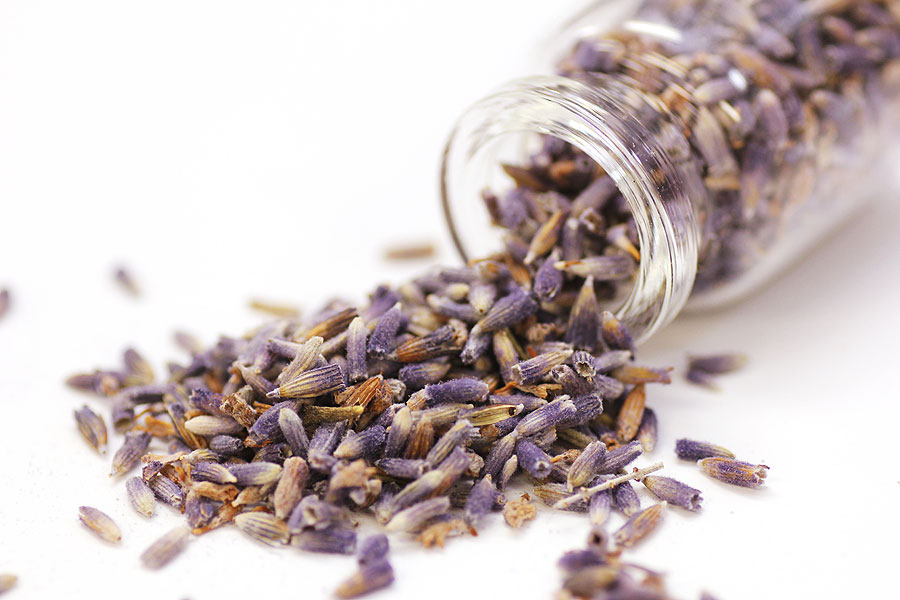 ラベンダーのドライフラワー たびらい ラベンダーのドライフラワー たびらい