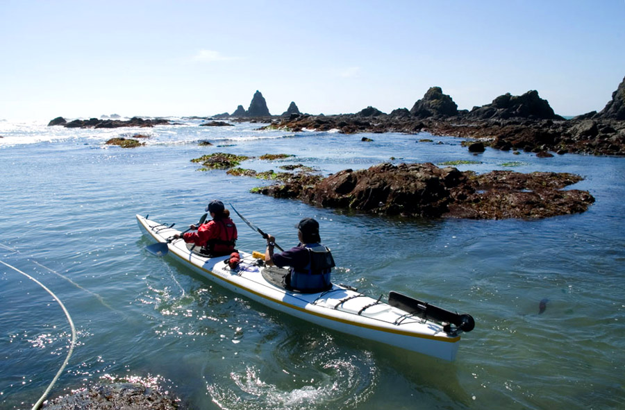 海鳥の目線といわれるカヤックからの眺めは臨場感がたまらない カヤックからの眺め