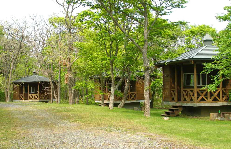 テントエリアは平坦な地形で草木の手入れも行き届いているので快適 テントエリア