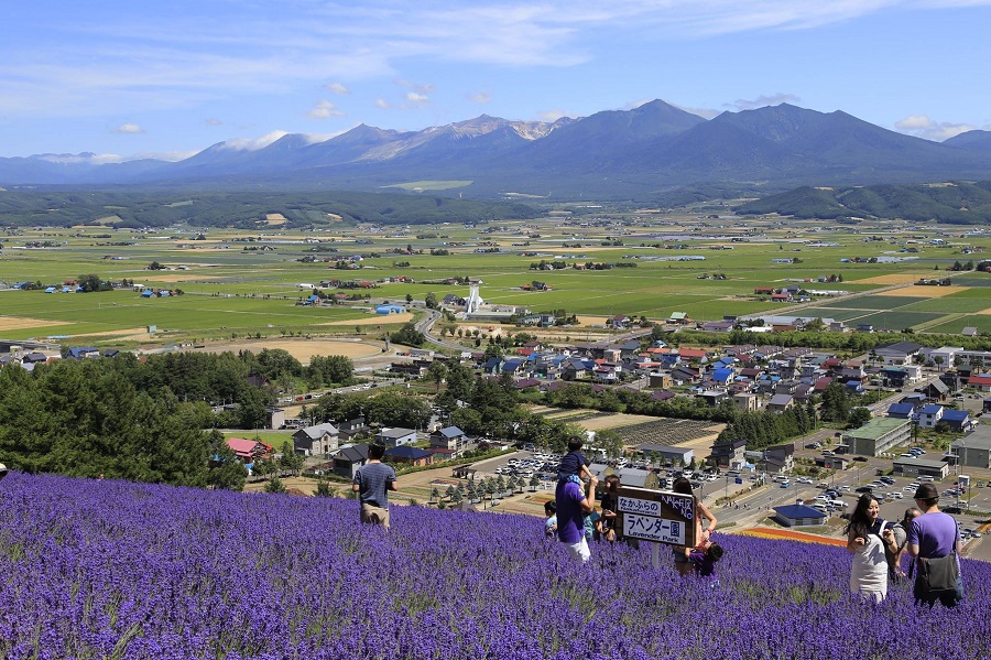 山頂からは富良野平野と十勝岳連峰の景色が楽しめる 山頂からは富良野平野と十勝岳連峰の景色が楽しめる