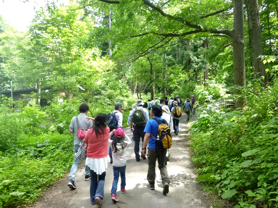 円山動物園で開催される森の散策タイムの様子 森の散策タイム