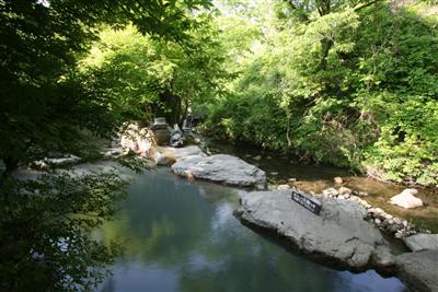 露天風呂のすぐ横を田の原川が流れています