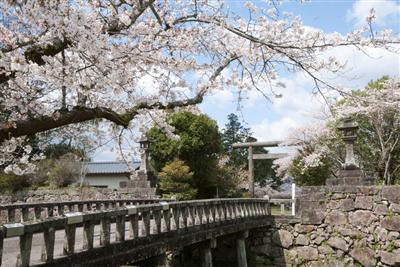 人吉城跡公園は、春は桜の名所となる