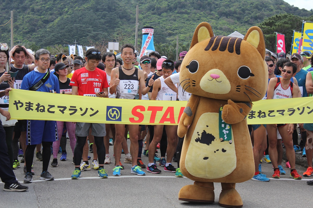 竹富町やまねこマラソン大会