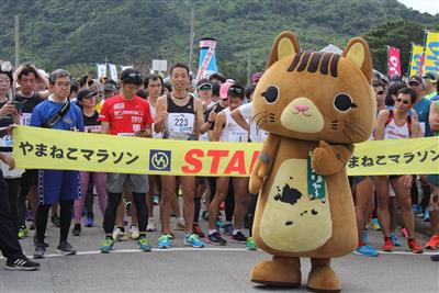 竹富町やまねこマラソン