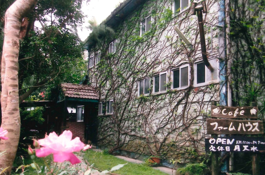 静かな森の中、落ち着いた店内で野菜たっぷりの食事を堪能しよう 静かな森の中、落ち着いた店内で野菜たっぷりの食事を堪能しよう