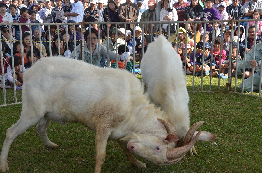 多くの人が集まるイベントです