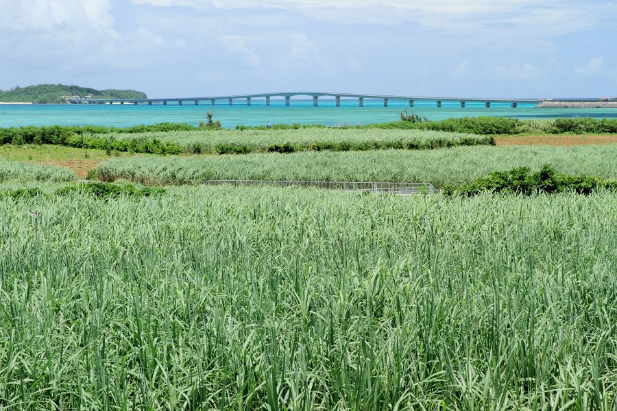 来間大橋は全日本トライアスロン宮古島大会のバイクコースの一部 来間大橋