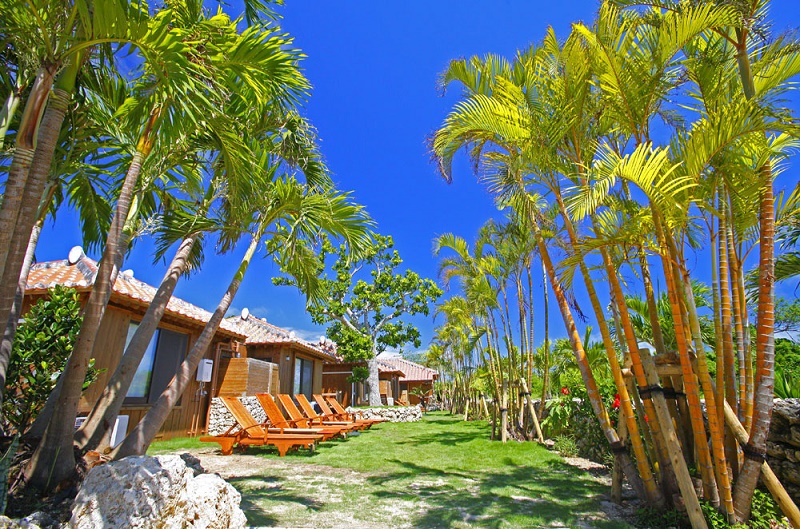 竹富島の青い空の下、都会の喧噪を離れてゆっくり過ごせる 竹富島の青い空の下、都会の喧噪を離れてゆっくり過ごせる
