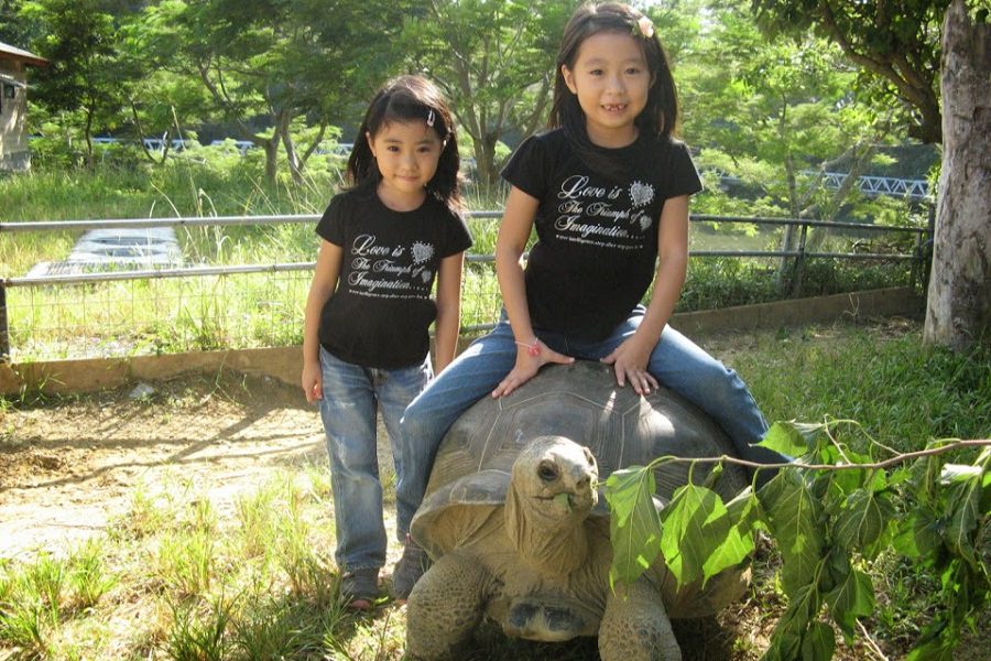 ゾウガメにまたがっての記念撮影は旅のいい思い出(写真提供/ネオパークオキナワ) ゾウガメにまたがっての記念撮影は旅のいい思い出