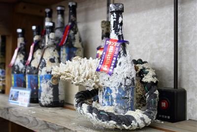 サンゴが付着した海底酒のボトル