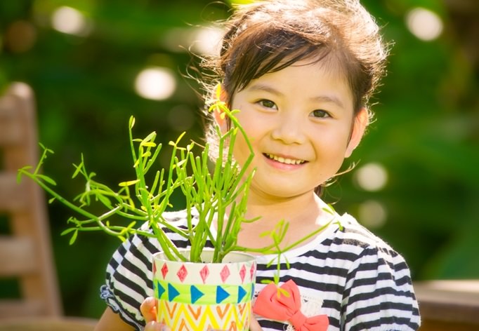 植木鉢の絵付けに挑戦 植木鉢の絵付けに挑戦