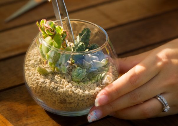 インテリアに人気のボタニック・ボトリウム インテリアに人気のボタニック・ボトリウム