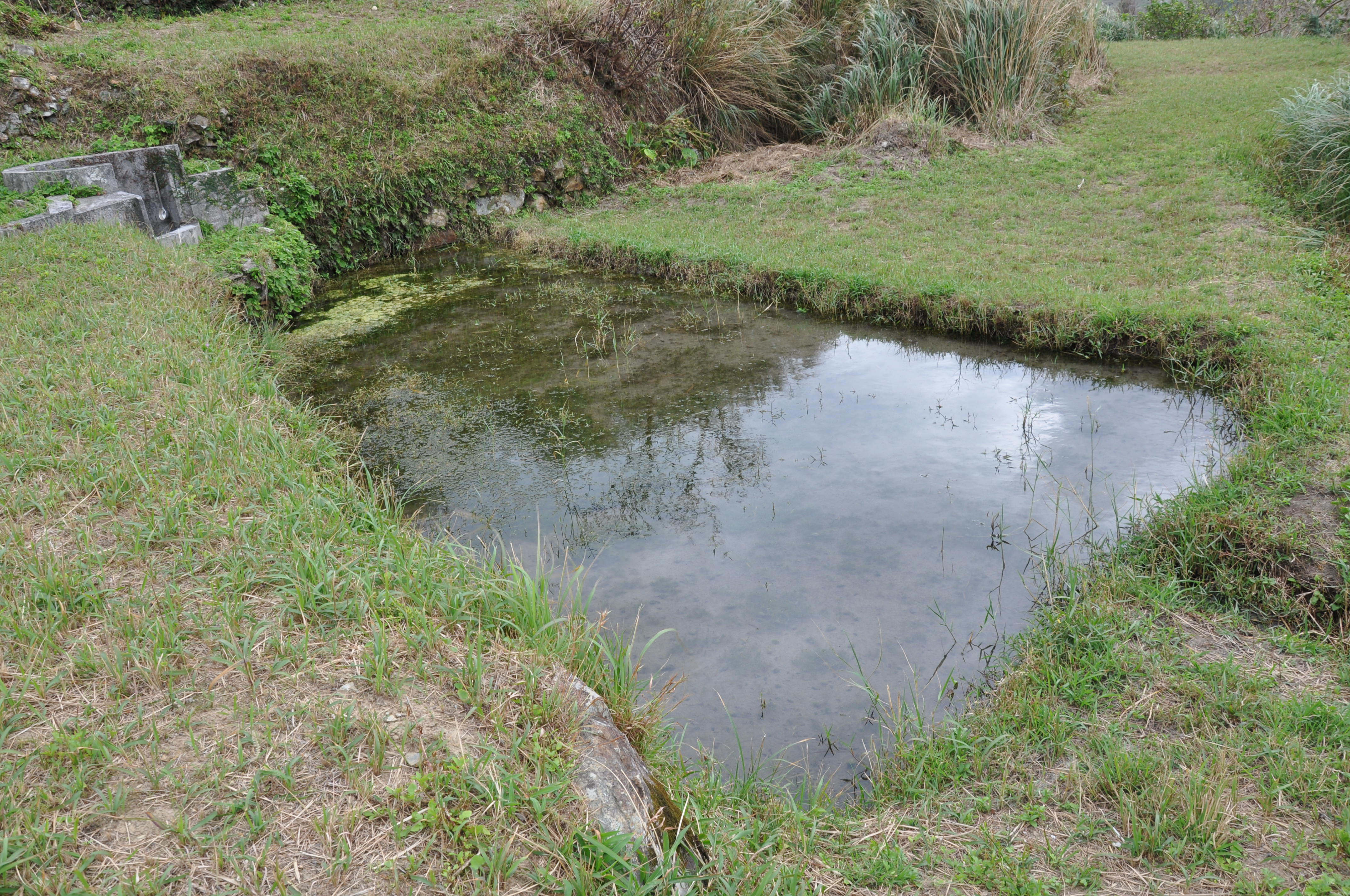 山の上にあるが、水がたっぷりとある(撮影/伊藤麻由子) 山の上にあるが、水がたっぷりとある(撮影/伊藤麻由子)