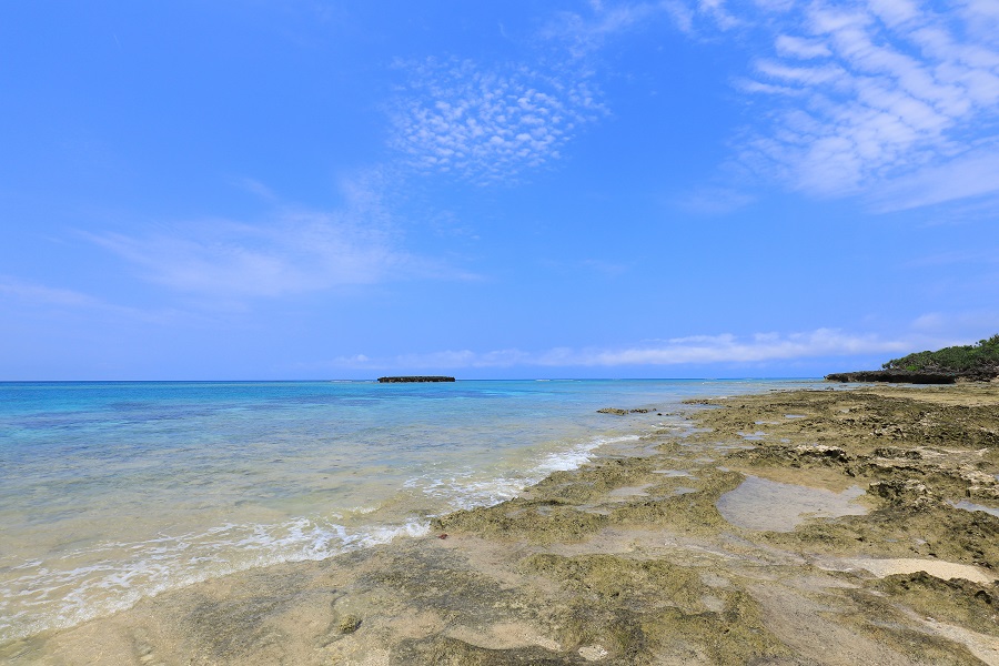 カモメ岩のビーチ カモメ岩のビーチ