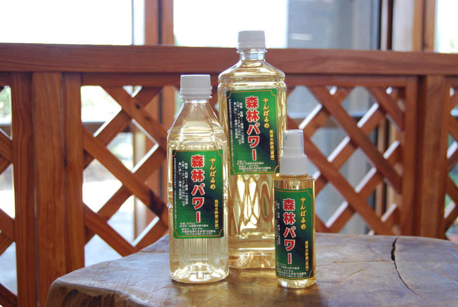やんばるの森から生まれた「森林パワー」