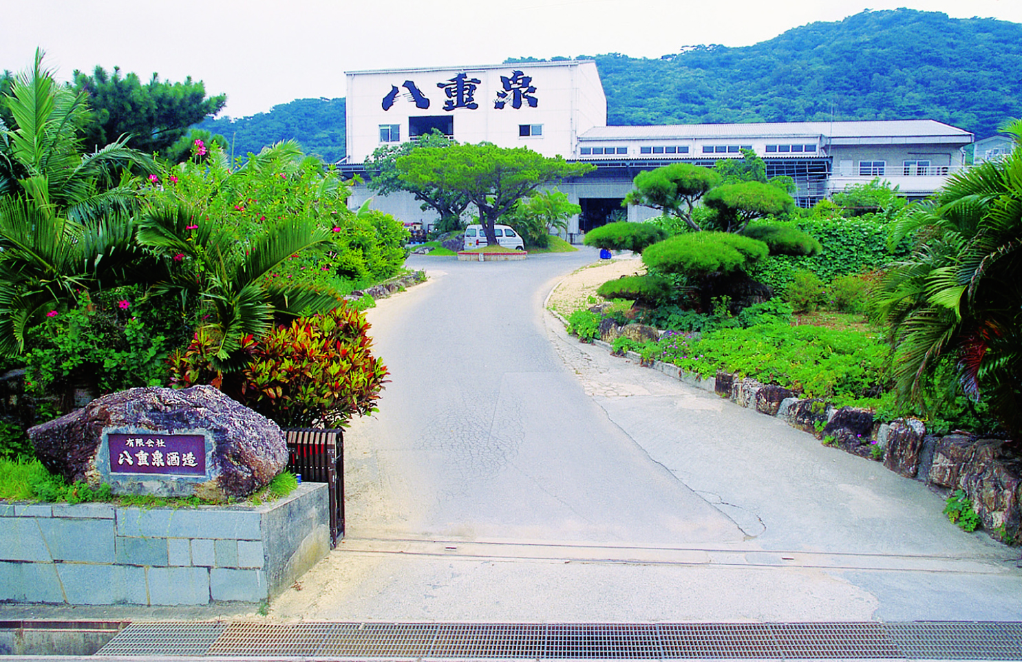 主な銘柄は、八重泉、黒真珠 主な銘柄は、八重泉、黒真珠