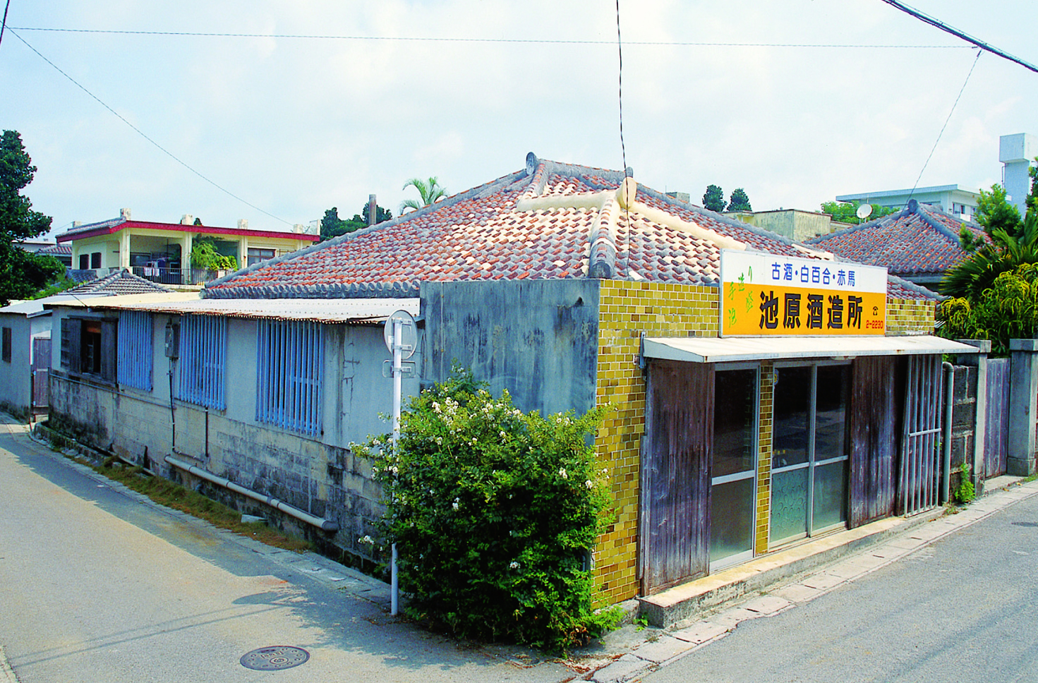 主な銘柄は、白百合、赤馬 主な銘柄は、白百合、赤馬