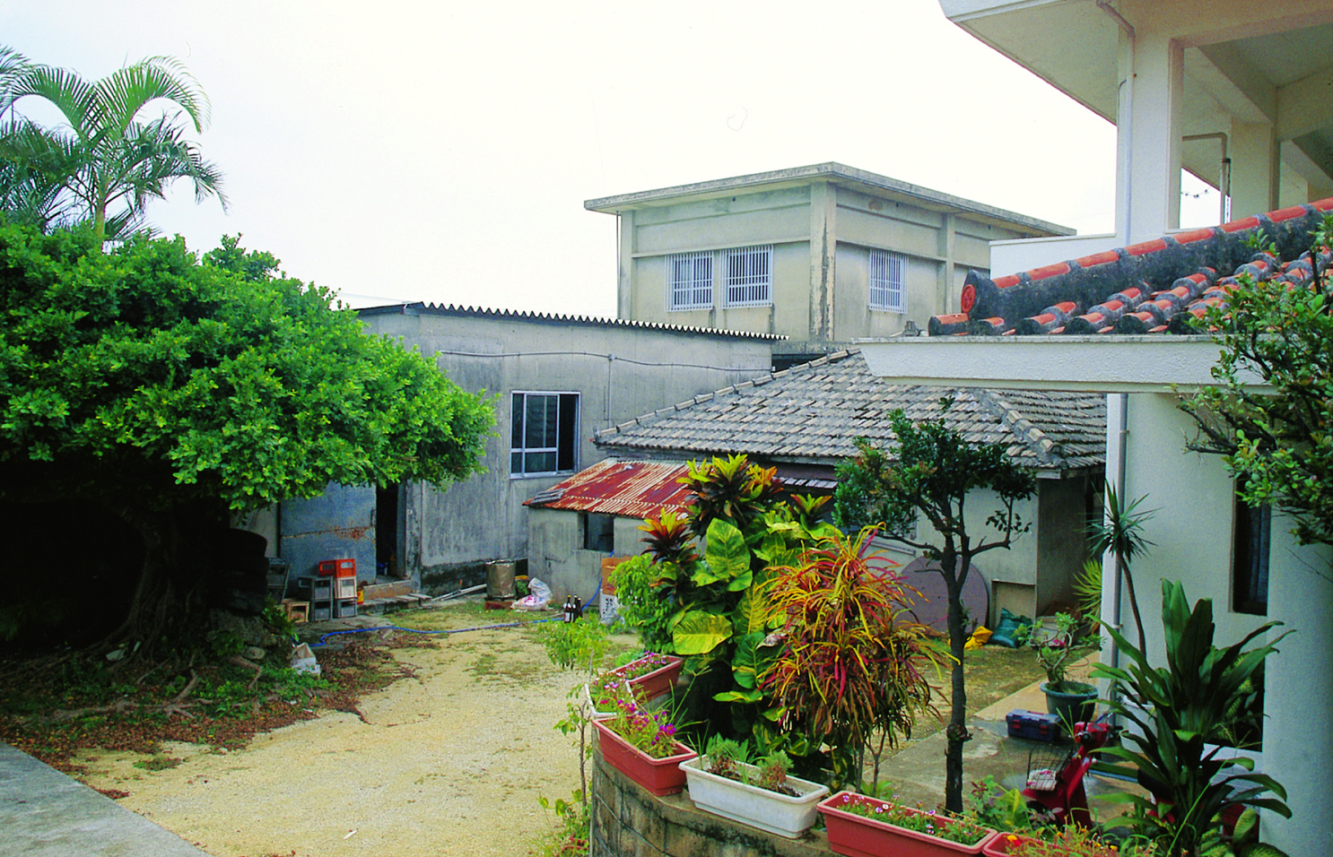 主な銘柄は、豊年、ゆら 主な銘柄は、豊年、ゆら