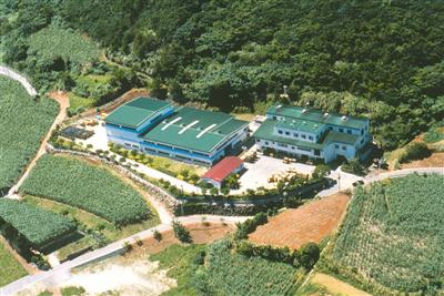 主な銘柄は、久米島の久米仙