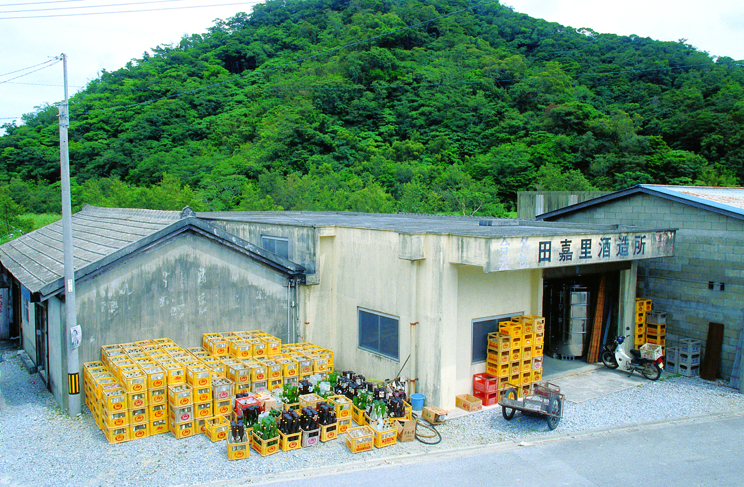主な銘柄は、まるた、山原くいな 主な銘柄は、まるた、山原くいな