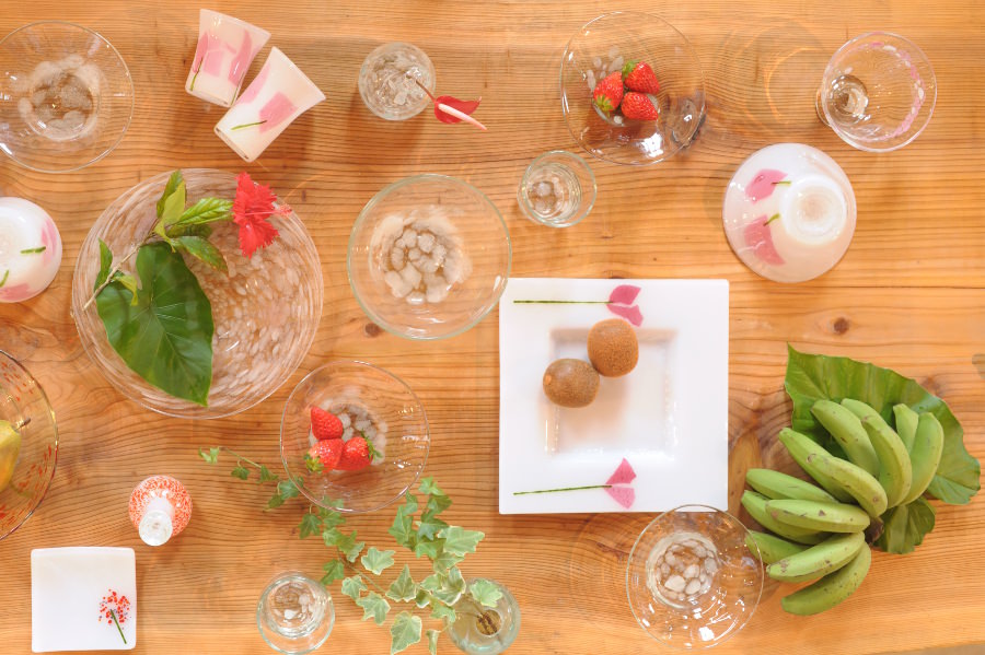 可憐なピンク色の花が素敵な、ロングセラーの「ハイビスカスシリーズ」 可憐な赤い花が素敵な、ロングセラーの「ハイビスカスシリーズ」