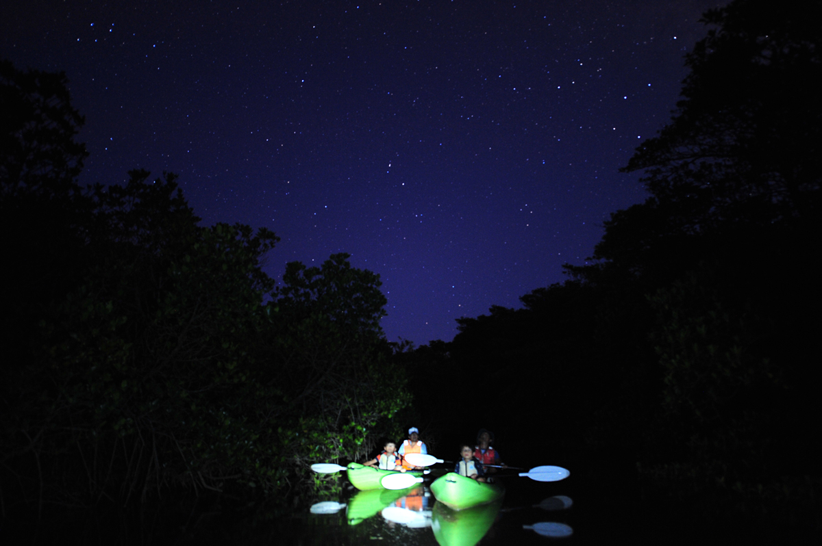 昼間とはまた違う風景が楽しめるナイトカヌー 昼間とはまた違う風景が楽しめるナイトカヌー