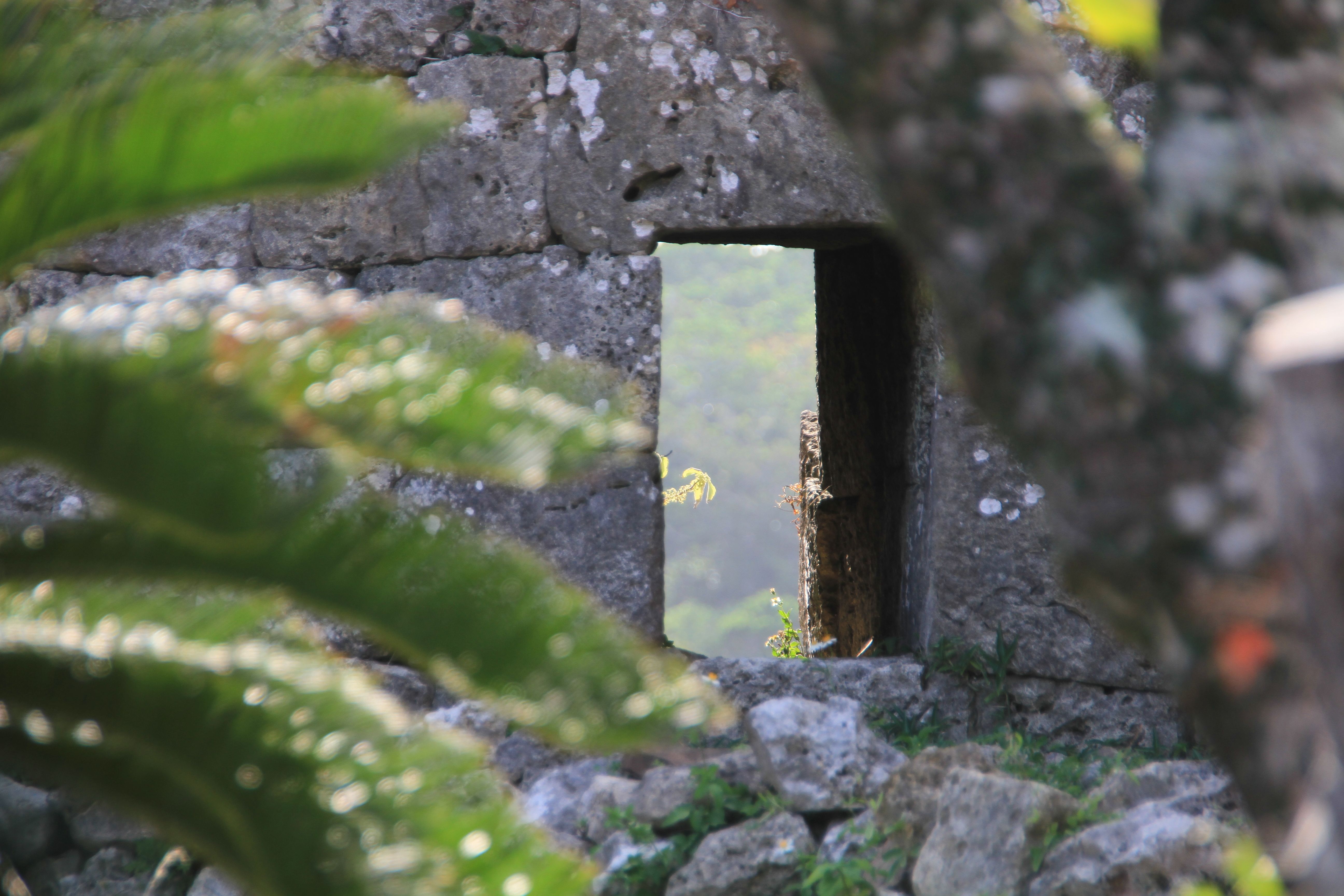 南の郭の城壁にある四角い穴を探してみよう 南の郭の城壁にある四角い穴を探してみよう