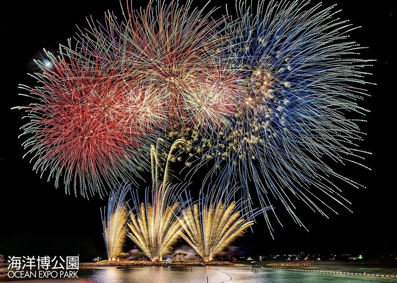 写真/海洋博公園・サマーフェスティバル 写真/海洋博公園・サマーフェスティバル