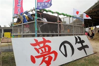 黒島牛まつり