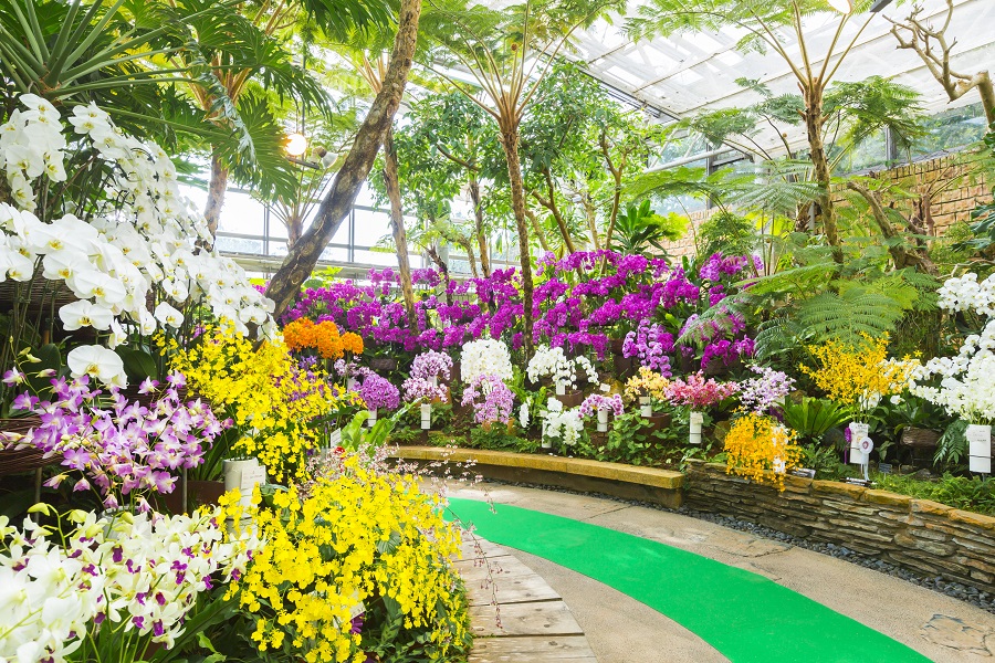 写真提供/海洋博公園 沖縄国際洋蘭博覧会