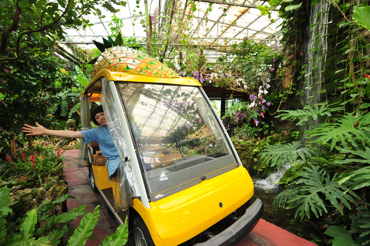 黄色い車体が、植物の緑に良く映える 黄色い車体が、植物の緑に良く映える