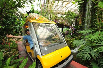 黄色い車体が、植物の緑に良く映える